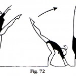 fig72