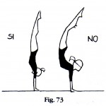 fig73