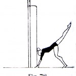 fig78