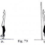 fig79